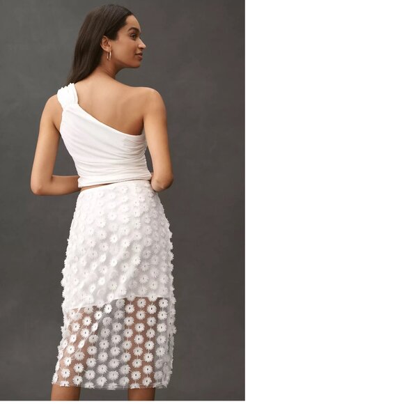 By Anthropologie 3D Texture Sheer Slip Midi Skirt size L white color - Picture 3 of 7